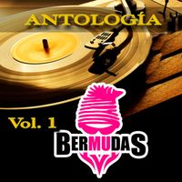Bermudas - Antología Vol. 1