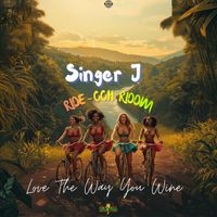 Singer J - Love the way you Wine