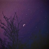 Creamy - The Night (Explicit)