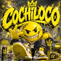 TOSCA - COCHILOCO