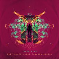 IDRIS - Body Shots (Ango Tamarin Remix)