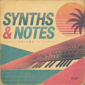 Various Artists - Synths & Notes, Vol. 11