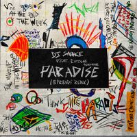 DJ Snake, Bipolar Sunshine - Paradise (&friends Remix)