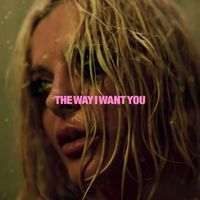 Bebe Rexha - The Way I Want You (Explicit)