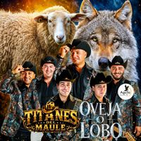 TITANES DEL MAULE - OVEJA O LOBO