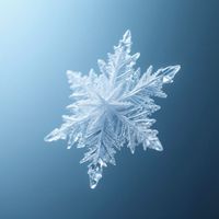NIKS - Lonely frost ins