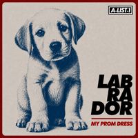 LabRaDor - My Prom Dress