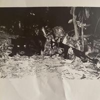 Nasanieru - TIRED OF IT ALL