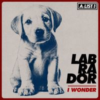 LabRaDor - I Wonder