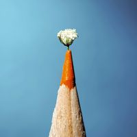 Macrogenre - Rice-Sized Detective (Explicit)