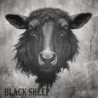 xymalf - Black sheep