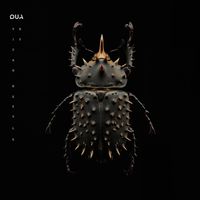 QUA - Titan Beetle