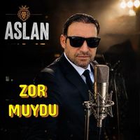 Aslan - Zor Muydu