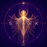 D&A - SPARK