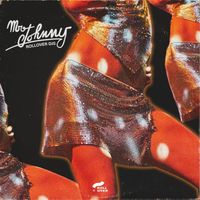ROLLOVER DJS - Mr. Johnny