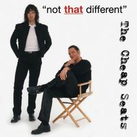 The Cheap Seats - Not That Different
