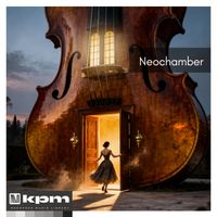 Skip Armstrong - Neochamber