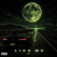RandiVision - Like Me (Explicit)