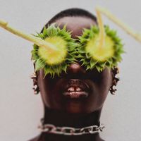 BLEND - PRESSÊD