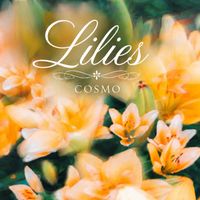 COSMO - Lilies
