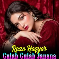 Raza Haqyar - Gulab Gulab Janana