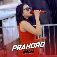 Macho - Prahoro