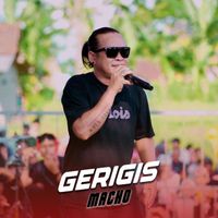 Macho - Gerigis