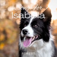 Forest - Song for Isabella