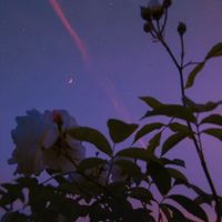 aurelia - Has To Be (Instrumental)