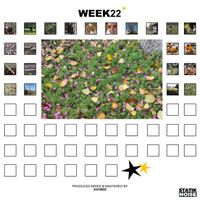 KAYBEE - WEEK22