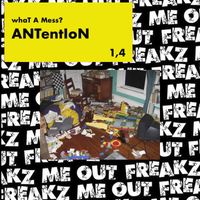Dj Antention - What a Mess?