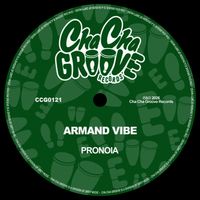 Armand Vibe - Pronoia (Extended Mix)