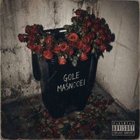 Outlaw - Gole Masnooei (Explicit)
