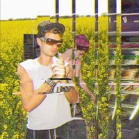 Shane - Birkin (celui) (Explicit)