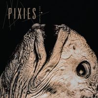 Pixies - Complete B Sides: 1988-97 (Explicit)