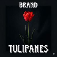 BRAND - Tulipanes