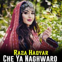Raza Haqyar - Che Ya Naghwaro