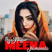Raza Haqyar - Meena Namanala