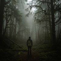 Rune Echo - Nebula Forest Celtic Ambient