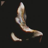 TRK - FAVELA RUNNER