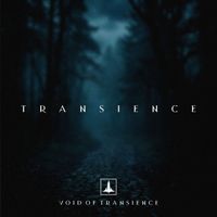 Void Of Transience - Transience