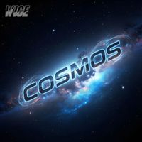 Wice - Cosmos