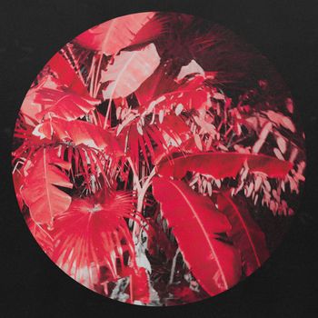 Natio - Alright