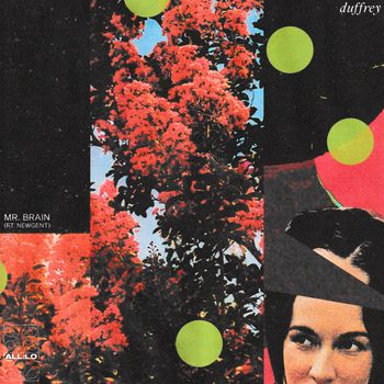Duffrey - Mr. Brain (Explicit)