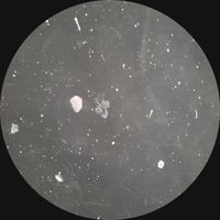 Melly - INVADERZ