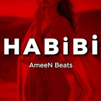 AmeeN Beats - Habibi
