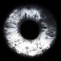 BVSIS - Look at Me