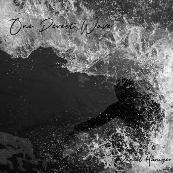 Daniel Haniger - One Perfect Wave