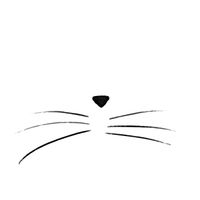 Lunn - An Irish Tale About a Sleepy Cat