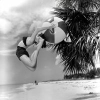 John Thomas - The Temporary Paradise Department